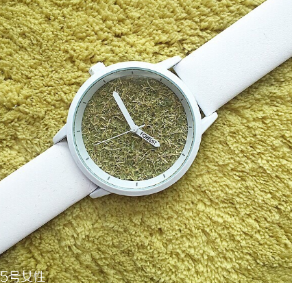 手表太大怎么辦？手表太長(zhǎng)怎么拆掉幾節(jié)？