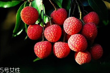 荔枝殼的功效和作用 荔枝殼去火嗎？