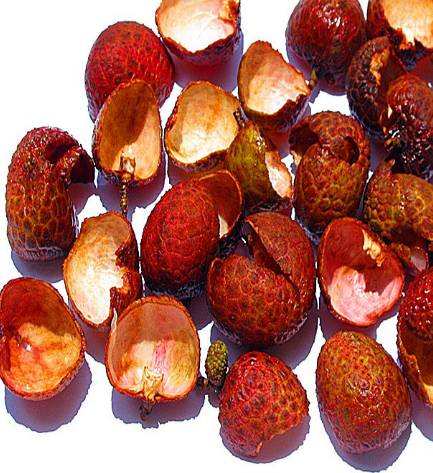 荔枝殼的功效和作用 荔枝殼去火嗎？