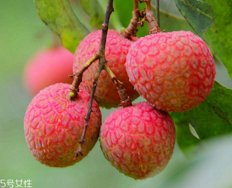 荔枝是涼性還是熱性？月經(jīng)來了能吃荔枝嗎