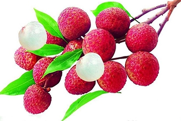 荔枝的品種 荔枝有哪些種類？