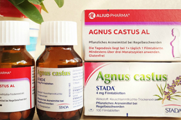 孕婦可以吃圣潔莓嗎？備孕期間可以吃圣潔莓嗎