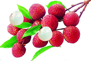 荔枝的品種 荔枝有哪些種類(lèi)？