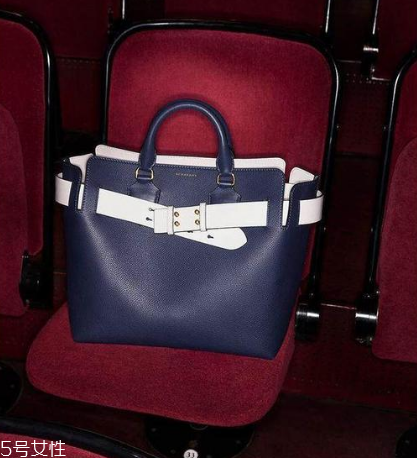 burberry the belt是什么皮？巴寶莉貝爾特包材質(zhì)