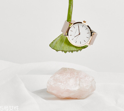 the horse手表多少錢？the horse手表價位