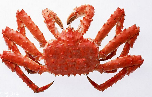 帝王蟹是什么顏色的？帝王蟹哪個顏色好？