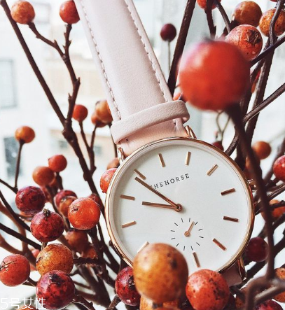the horse手表什么檔次？the horse品牌檔次