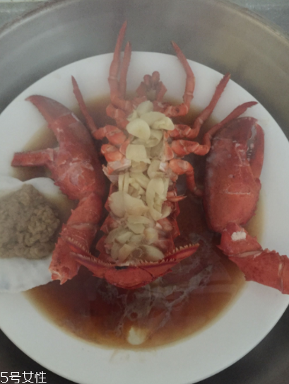 波士頓龍蝦怎么殺？怎么殺波士頓龍蝦？
