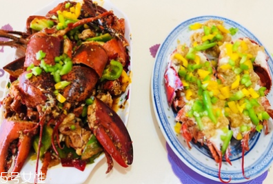 波士頓龍蝦能活多久？波士頓龍蝦能活幾天？