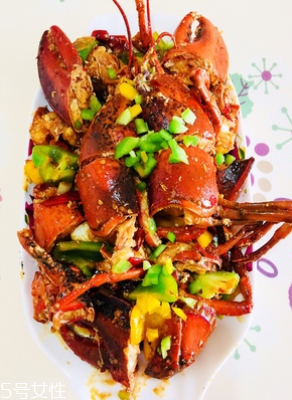 波士頓龍蝦能活多久？波士頓龍蝦能活幾天？