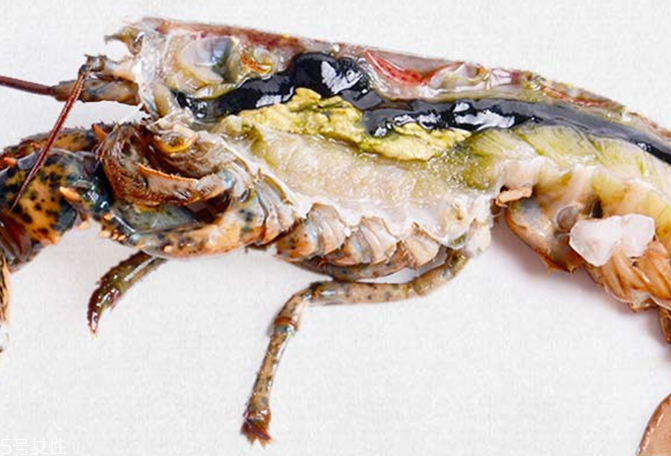 波士頓龍蝦能生吃嗎？波士頓龍蝦適合生吃嗎？