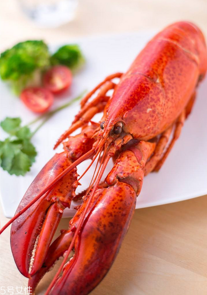 波士頓龍蝦清蒸多久？波士頓龍蝦蒸幾分鐘？
