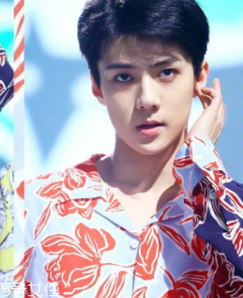 男生穿襯衫適合什么發(fā)型 9種不同風(fēng)格的襯衫發(fā)型 男生穿襯衫適合什么發(fā)型 9種不同風(fēng)格的襯衫發(fā)型