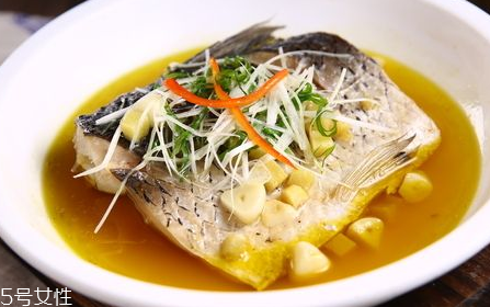 青魚怎么養(yǎng)殖?青魚好養(yǎng)嗎？