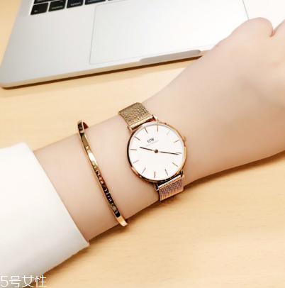 手表洗油是什么意思？手表洗油是干什么？