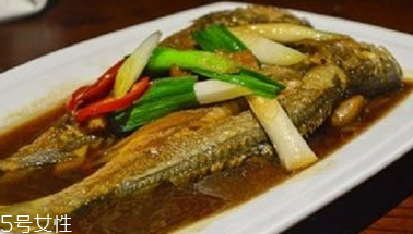 青魚是鯉魚嗎？青魚和鯉魚是不是一樣的？