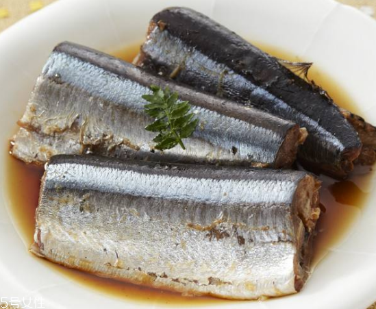 青魚怎么釣？青魚可以用什么餌料？