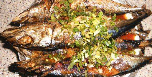 青魚和鲅魚的區(qū)別 青魚和鲅魚哪個(gè)更好吃 青魚和鲅魚的區(qū)別 青魚和鲅魚哪個(gè)更好吃