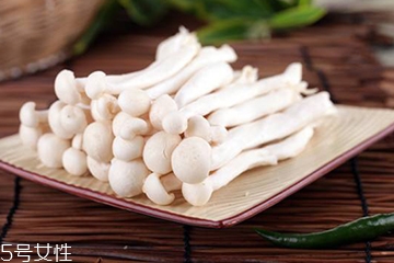 白玉菇的營養(yǎng)價值 白玉菇有什么營養(yǎng)？