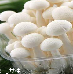 白玉菇的營養(yǎng)價(jià)值 白玉菇有什么營養(yǎng)？