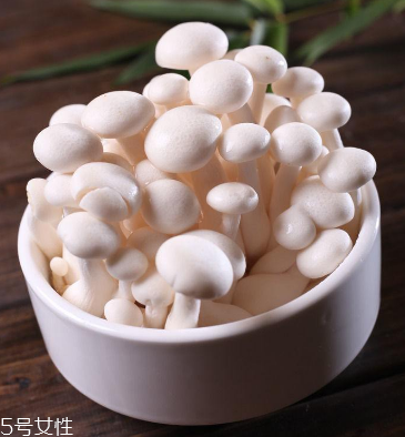 白玉菇為什么是苦的？白玉菇怎么會(huì)苦？