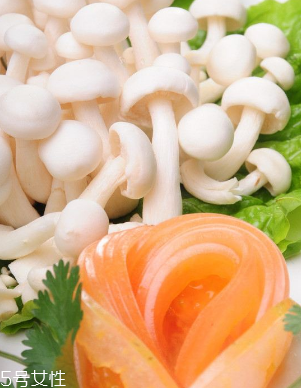 白玉菇和金針菇的區(qū)別 白玉菇是金針菇嗎？