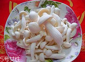 白玉菇能和西紅柿一起吃嗎？白玉菇能和番茄一起吃嗎？