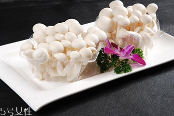 白玉菇長白毛是怎么回事？白玉菇長白毛還能吃嗎？