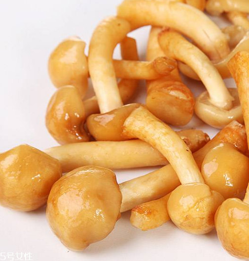 滑子菇是什么？滑子菇能吃嗎？