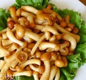 滑子菇的功效 滑子菇有什么作用？