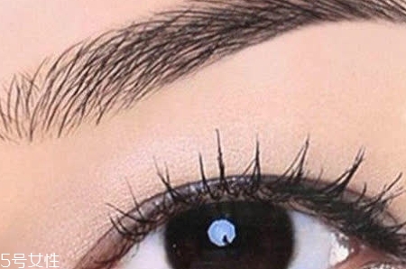 提眉和雙眼皮哪個好？提眉和雙眼皮哪個貴