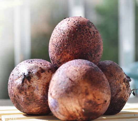 竹蓀蛋的做法 竹蓀蛋怎么做好吃？