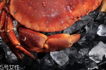 面包蟹是淡水還是海水？面包蟹長在淡水還是海水？