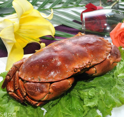 面包蟹是淡水還是海水？面包蟹長在淡水還是海水？