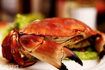 面包蟹是蒸還是煮？面包蟹蒸好吃還是煮好吃？