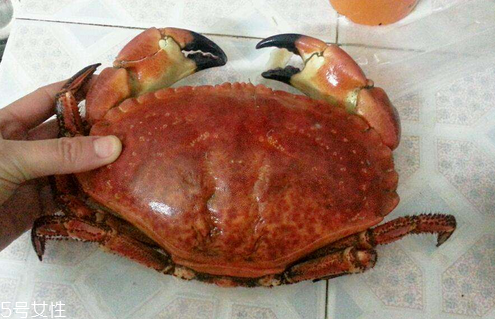 面包蟹是蒸還是煮？面包蟹蒸好吃還是煮好吃？