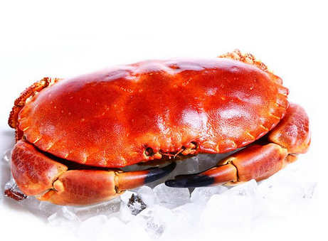 面包蟹是蒸還是煮？面包蟹蒸好吃還是煮好吃？