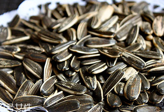 葵瓜子能種向日葵嗎？葵瓜子怎么種出向日葵？