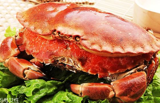 面包蟹能冷凍嗎？面包蟹可以放冰箱嗎？