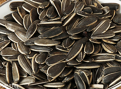 葵瓜子殼能吃嗎？葵瓜子殼吃了會怎樣？