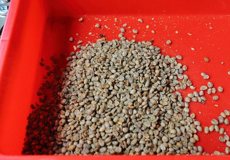 咖啡豆新豆、舊豆、老豆各有什么特色