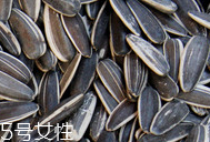 葵瓜子的熱量 葵瓜子會(huì)長胖嗎？