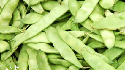 蕓豆是什么？蕓豆是豆角嗎？