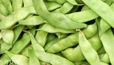 蕓豆是什么？蕓豆是豆角嗎？