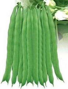 蕓豆能生吃嗎？蕓豆生吃會怎樣？