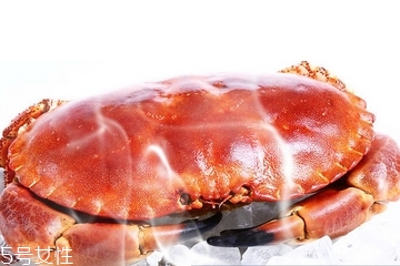 面包蟹肉多嗎？面包蟹幾月份最肥