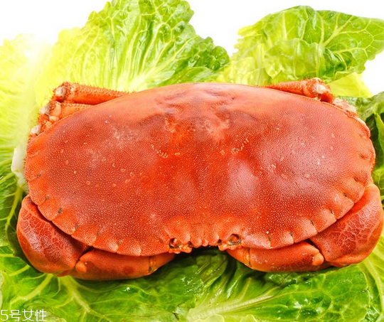 面包蟹肉多嗎？面包蟹幾月份最肥