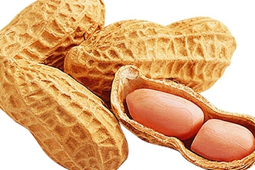 花生衣怎么吃補(bǔ)血小板？花生衣怎么吃補(bǔ)白細(xì)胞？