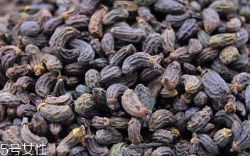 女貞子是藥物嗎？女貞子是做什么的？