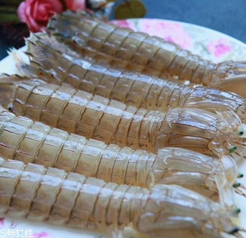 皮皮蝦能長多大？皮皮蝦最大有多大？